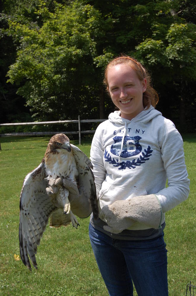 Wildlife Rehabilitation Internships Audubon Sharon