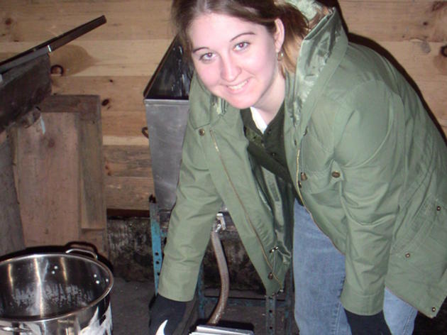 Maple Sugaring Assistant