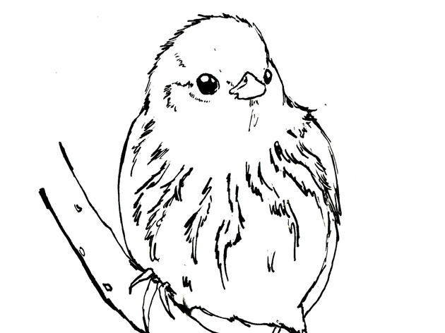 Yellow Warbler Coloring Page