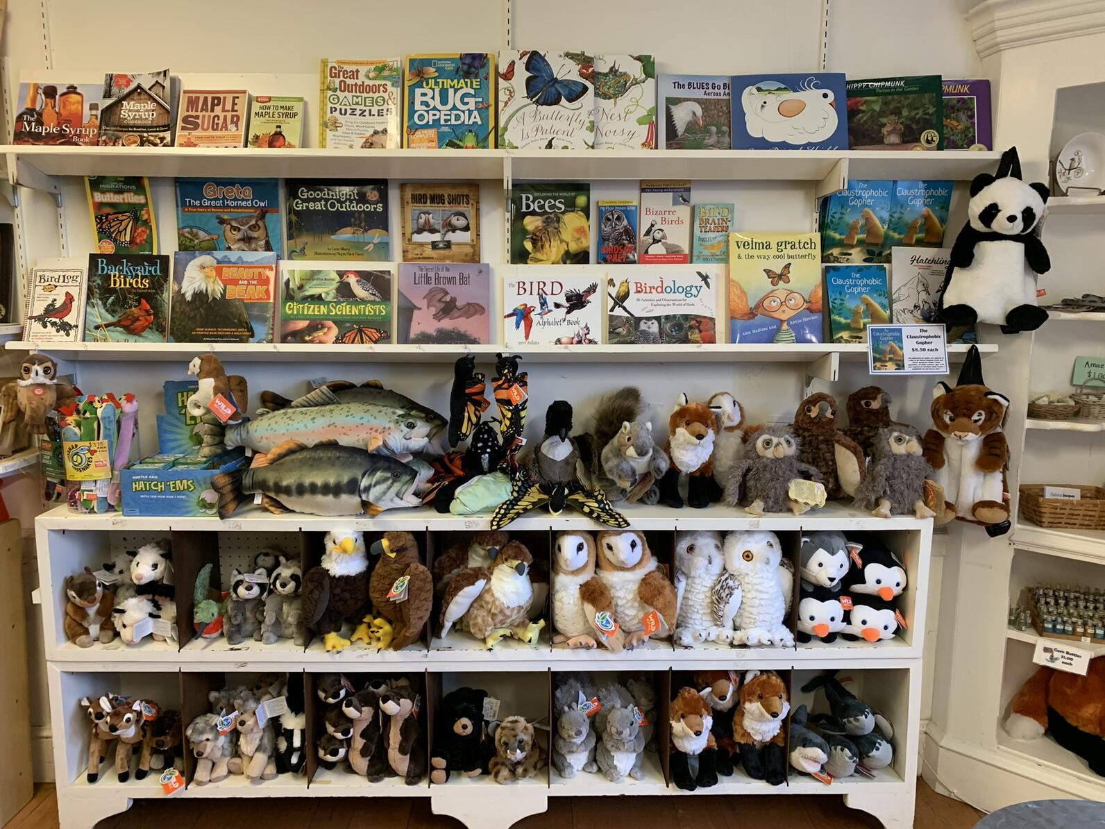 Children's books and stuffed animals