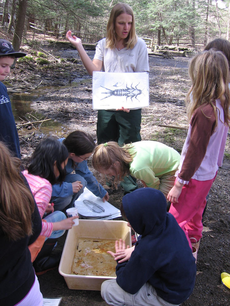 Spring-Summer Environmental Education Internships | Sharon Audubon Center