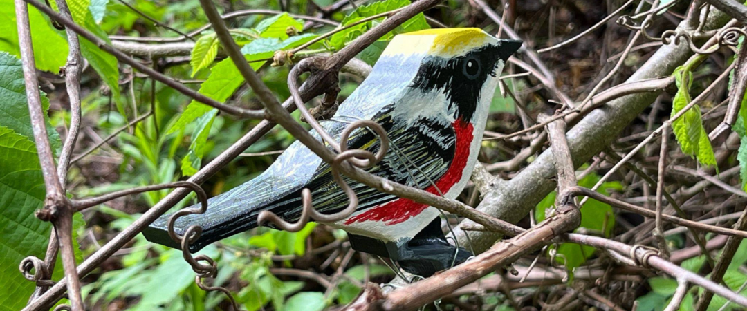 Paint wooden cut-out of a small songbird with black, white, yellow, and chestnut markings, nestled in the branches of a tree.